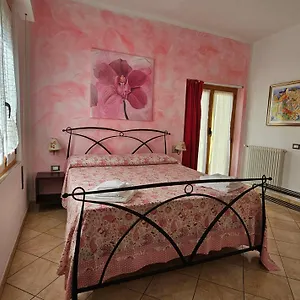 Il Giardino In Citta Bed & Breakfast